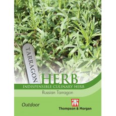 Herb Russian Tarragon