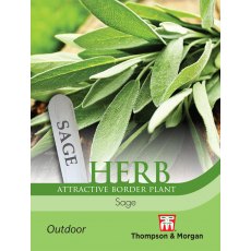 Herb Sage