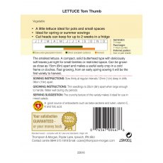 Lettuce Tom Thumb
