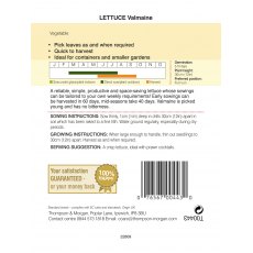 Lettuce Valmaine (Cut and Come Again)