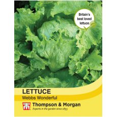Lettuce Webbs Wonderful