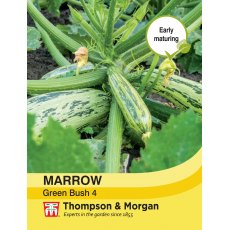 Marrow Green Bush 4