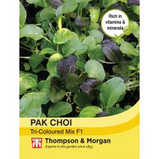Pak Choi (Chinese Cabbage) Tricoloured Mix F1 Hybrid