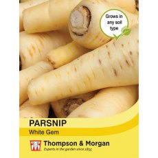 Parsnip White Gem