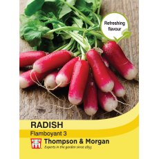 Radish Flamboyant 3