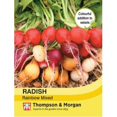 Radish Rainbow Mixed