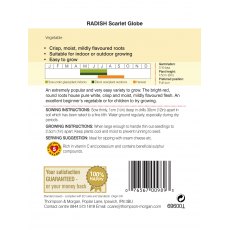 Radish Scarlet Globe