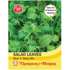 Salad Leaves - Nice n Spicy Mixed