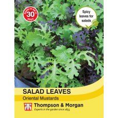Salad Leaves - Oriental Mustards