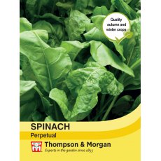 Spinach Perpetual