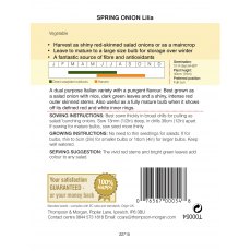 Spring Onion Lilia