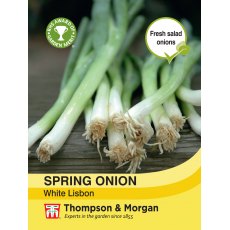 Spring Onion White Lisbon