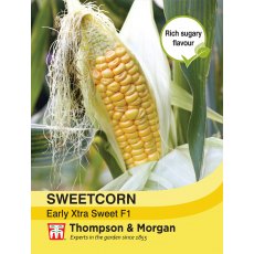 Sweetcorn Early Xtra Sweet F1 Hybrid