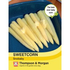 Sweetcorn Snobaby