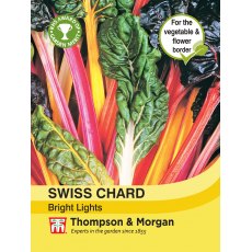 Swiss Chard Bright Lights