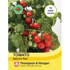 Tomato Balconi Red
