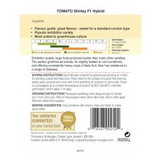 Tomato Shirley F1 Hybrid Tomato Shirley F1 Hybrid