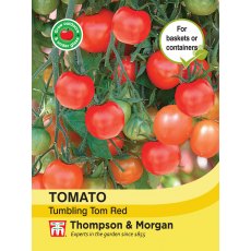 Tomato Tumbling Tom Red Tomato Tumbling Tom Red