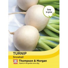Turnip Snowball Turnip Snowball