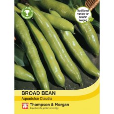 Broad Bean Aquadulce Claudia