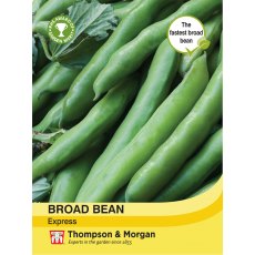 Broad Bean Express