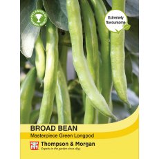 Broad Bean Masterpiece Green Longpod