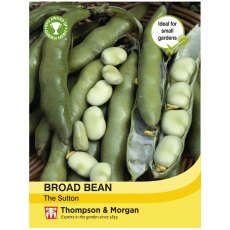 Broad Bean The Sutton