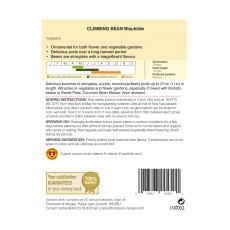 Climbing Bean Blauhilde