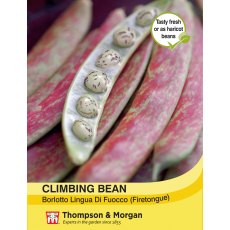 Climbing Bean Borlotto Lingua (Firetongue)