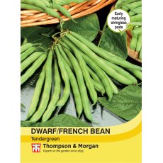Dwarf Bean Tendergreen