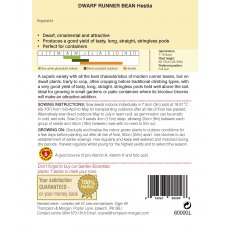 Dwarf Runner Bean Hestia