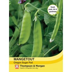 Mangetout Oregon Sugar Pod