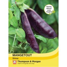 Mangetout Shiraz
