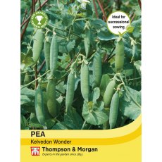 Pea Kelvedon Wonder