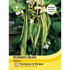 Runner Bean Desiree