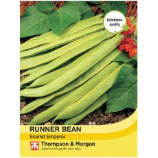 Runner Bean Scarlet Emperor