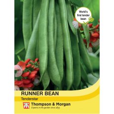 Runner Bean Tenderstar