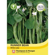 Runner Bean White Lady