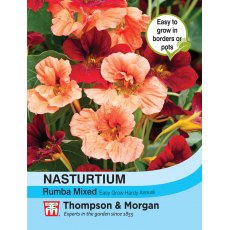 Nasturtium Rumba Mixed