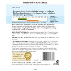 Nasturtium Rumba Mixed
