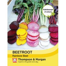 Beetroot Rainbow Beet