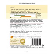 Beetroot Rainbow Beet