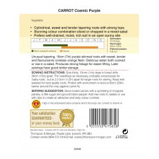 Carrot Cosmic Purple