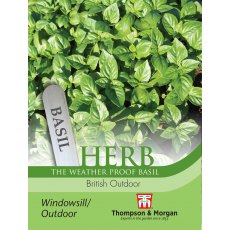 Herb Basil British Outdoor