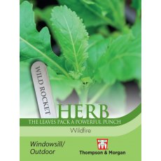 Herb Wild Rocket Wildfire