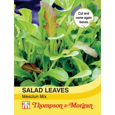 Salad Leaves - Mesclun Mixed
