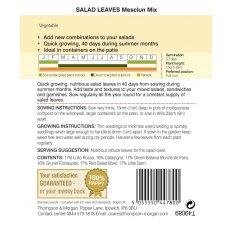 Salad Leaves - Mesclun Mixed