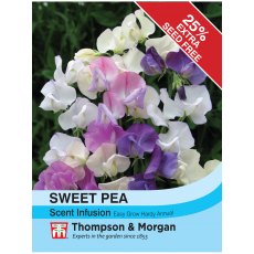 Sweet Pea Scent Infusion
