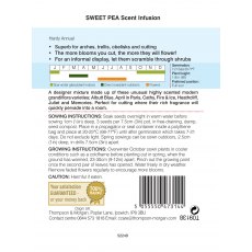 Sweet Pea Scent Infusion