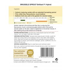 Brussels Sprout Brilliant F1 Hybrid